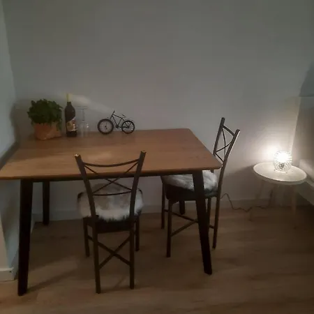 Haubenschloss 公寓 *